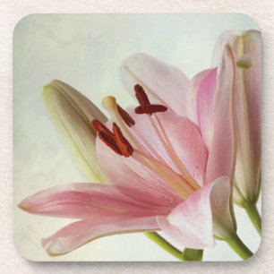 Dessous-de-verre Lis roses