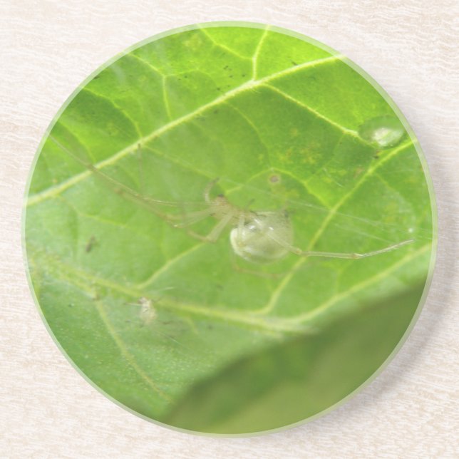 Dessous de verre Little Spider (Devant)