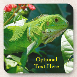 Dessous-de-verre Lizard vert Iguana personnalisé