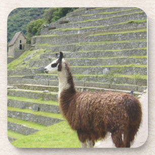 Dessous-de-verre llama