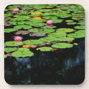 Dessous-de-verre lotus rose noir