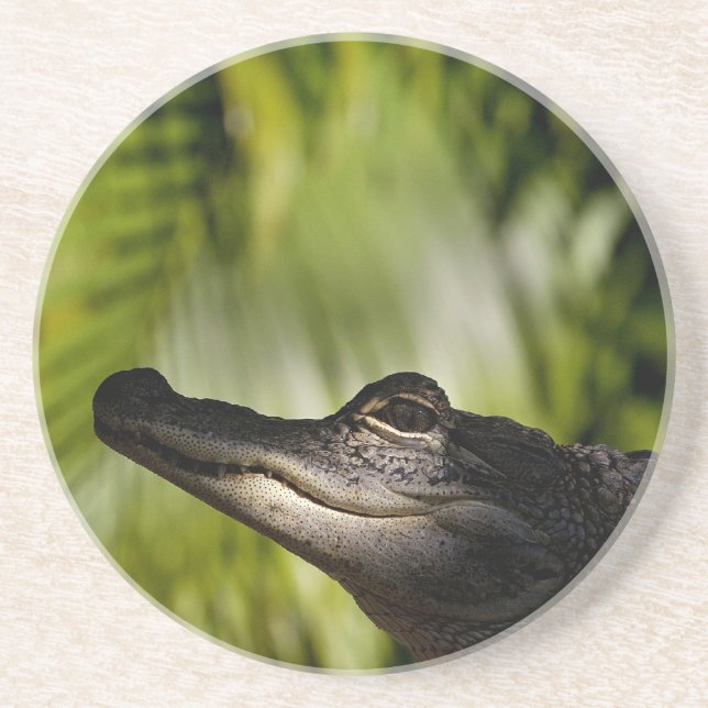 Dessous de verre louches d'alligator (Devant)