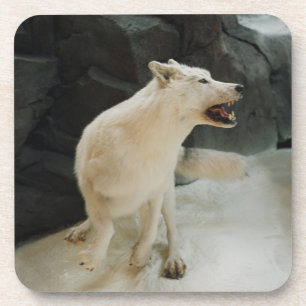 Dessous-de-verre Loup blanc