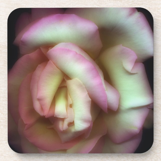 Dessous-de-verre <Love is a Rose> par Nathan Griffith (Devant)