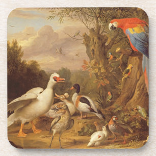 Dessous-de-verre Macaw, Canards, perroquets et autres oiseaux sur u