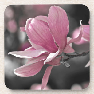 Dessous-de-verre Magnolia