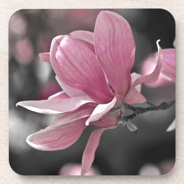 Dessous-de-verre Magnolia (Devant)