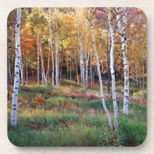 Dessous-de-verre Maine, Parc national de l'Acadia, automne