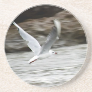 Dessous de verre maître éolien