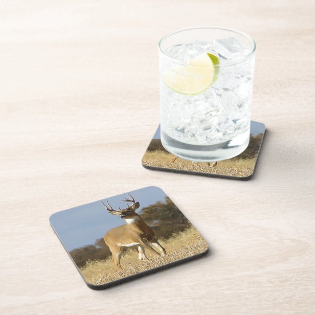 Dessous-de-verre Mâle de Whitetail d'automne (Côté Droit)