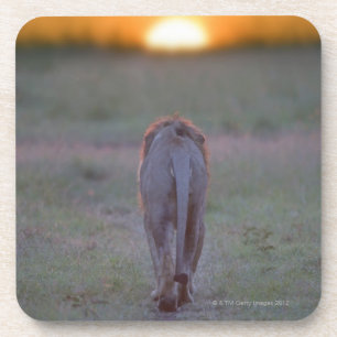 Dessous-de-verre Marche de lion