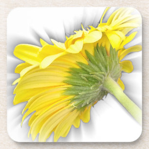 Dessous-de-verre marguerite jaune