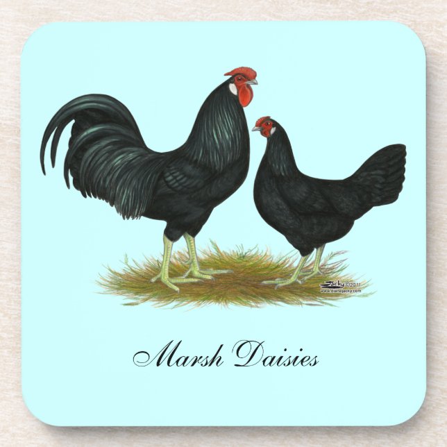 Dessous-de-verre Marsh Daisy Chickens (Devant)