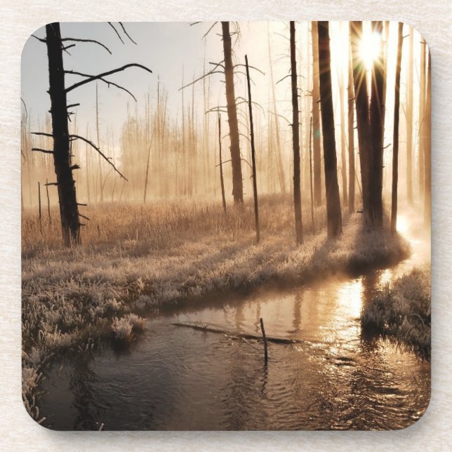 Dessous-de-verre Matin givré de Yellowstone (Devant)