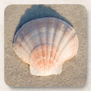 Dessous-de-verre Mer Shell s'étendant sur la plage sablonneuse