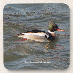 Dessous de verre Merganser à poitrine rouge