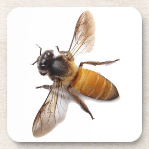 Dessous-de-verre Miel Bee