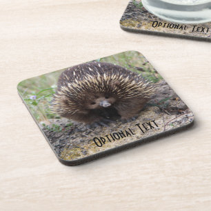 Dessous-de-verre Mignonne Echidna d'Australie