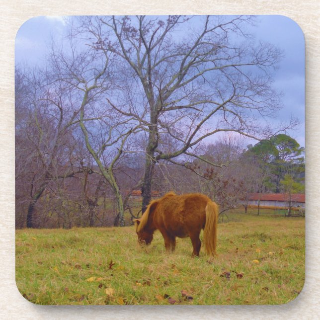 Dessous-de-verre Miniature brun cheval bleu ciel (Devant)