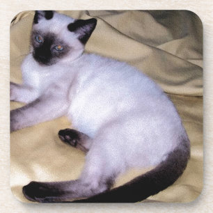 Dessous-de-verre Minou mignon d'animal familier animal d'art de