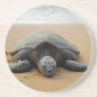 Dessous de verre mis en danger de tortue de mer