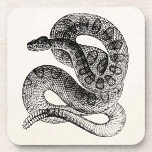 Dessous-de-verre Modèle vintage de serpent de reptile de serpent à