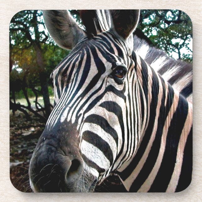 Dessous-de-verre Mon ami trippé (Devant)