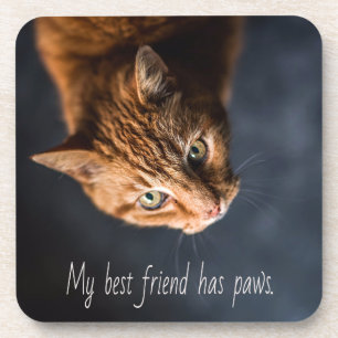 Dessous-de-verre Mon meilleur ami a des pattes, Chat Chaton Mignon