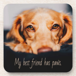Dessous-de-verre Mon meilleur ami a des pattes de chien, Puppy Meme