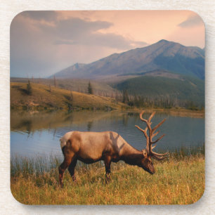 Dessous-de-verre Montagnes Jacques Mountain Range Alberta Canada