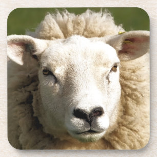 DESSOUS-DE-VERRE MOQUETTE