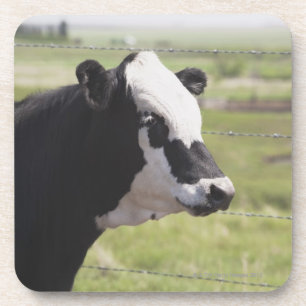 Dessous-de-verre Moseleigh, Alberta, Canada