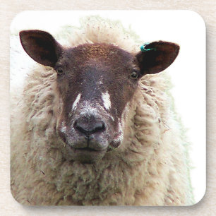 DESSOUS-DE-VERRE MOUTON MIGNON