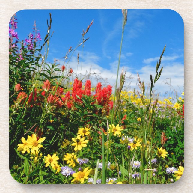 Dessous-de-verre Mt. Fleur sauvage (Devant)