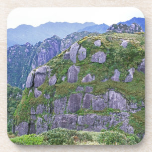 Dessous-de-verre Mt. Nagata, Yakushima, Kagoshima, Japon