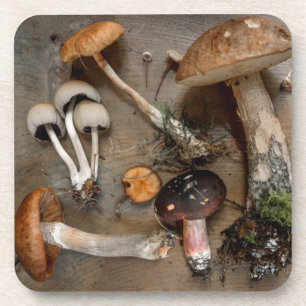 Dessous-de-verre Mushrooms  Love Fungi