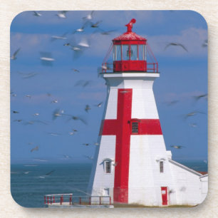 Dessous-de-verre NA, Canada, Nouveau-Brunswick, île Campobello.8