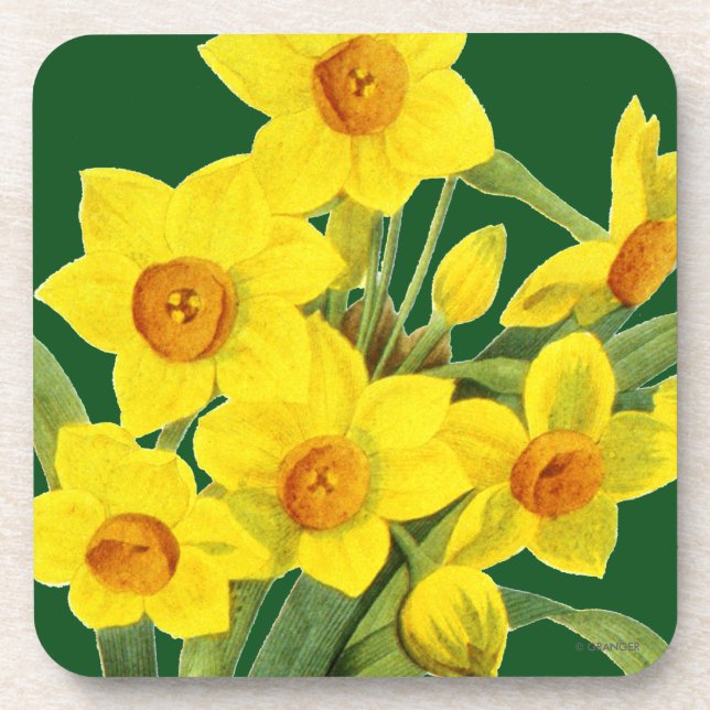 Dessous-de-verre Narcisse (N Tazetta) (Devant)