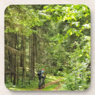 Dessous-de-verre Nature Paysage Paysage Forêt Biélorussie