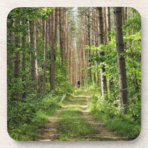 Dessous-de-verre Nature Paysage Paysage Forêt Biélorussie
