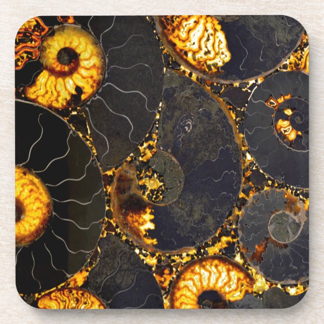 Dessous-de-verre Nautilus d'or (Devant)