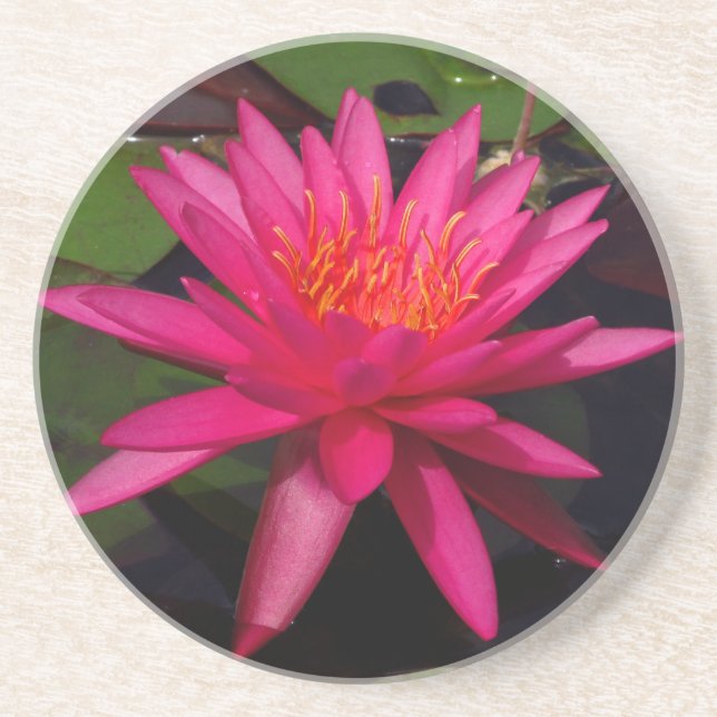 Dessous de verre - nénuphar rose (Devant)
