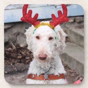Dessous-de-verre Noël Ollie