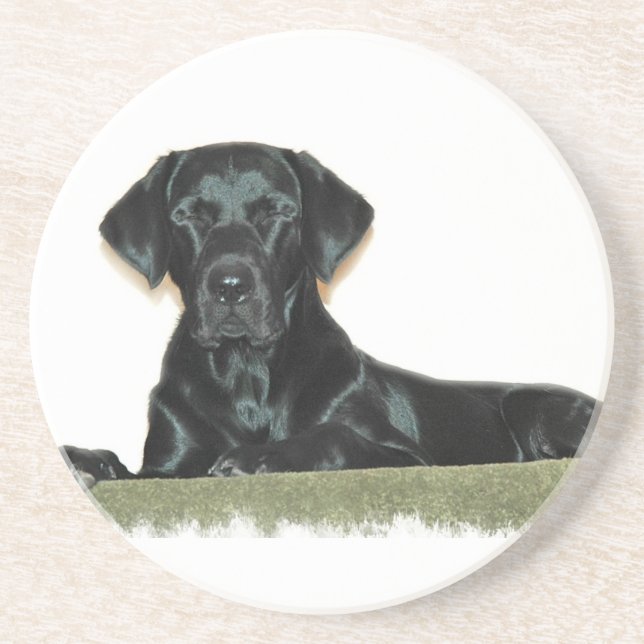Dessous de verre noirs de sommeil de labrador (Devant)