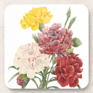 Dessous-de-verre Œillets anciens Dianthus Fleurs de jardin Redoute