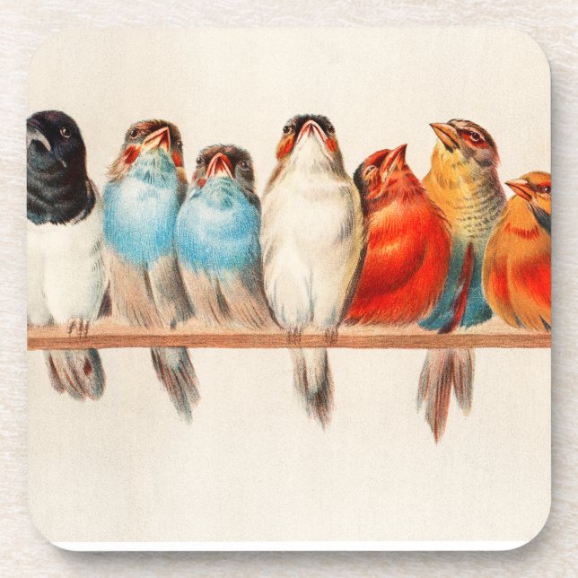 Dessous-de-verre Oiseaux Assis joliment et calme (Devant)