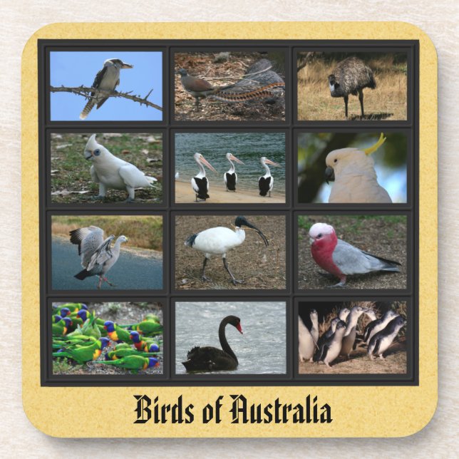 Dessous-de-verre Oiseaux australiens (Devant)