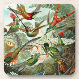 Dessous-de-verre Oiseaux d'art - Formes d'art de la nature