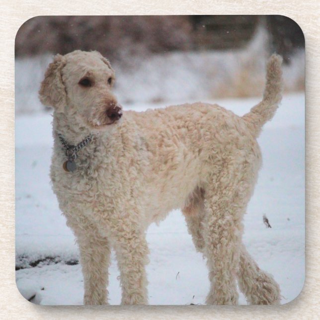 Dessous-de-verre Ollie (Devant)