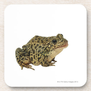 Dessous-de-verre Ombre de grenouille